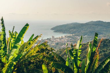 Tayland 'ın Phuket Yarımadası tepelerinin manzarası.