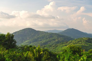 Phuket, Tayland tepelerinin manzarası