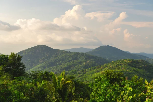 Phuket, Tayland tepelerinin manzarası
