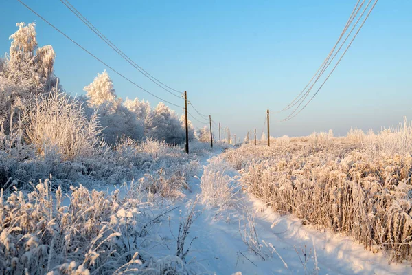 Winterlandschaft mit schneebedeckten Bäumen — Stockfoto