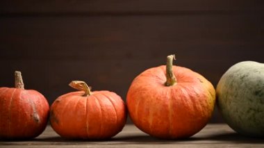 Balkabağı tarlası, birden fazla beden, renkli balkabağı, kaydırma iğnesi. 4K UHD 3840x2160