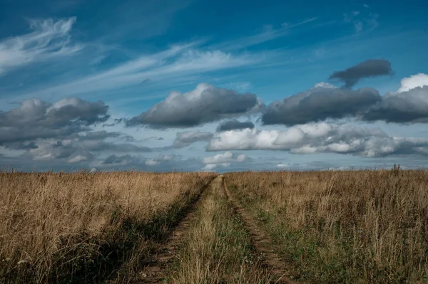 Strada verso l'orizzonte in campo con cielo blu e nuvole sullo sfondo — Foto Stock