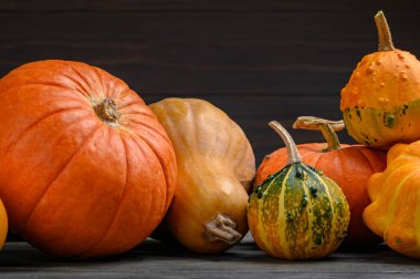 Sonbahar hasadı rengarenk kabaklar ve farklı türde balkabakları. Ahşap arkaplan.