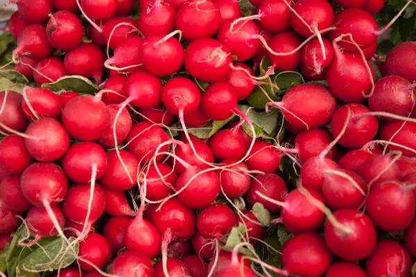 Roter frischer, reifer Rettich auf dem Markt. Hintergrund Gemüse. — Stockfoto