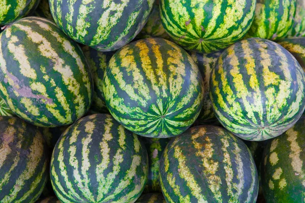 Many green sweet ripe watermelon in a market — Stock Photo, Image