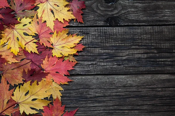 Podzimní listí na dřevěném pozadí s kopií spase — Stock fotografie