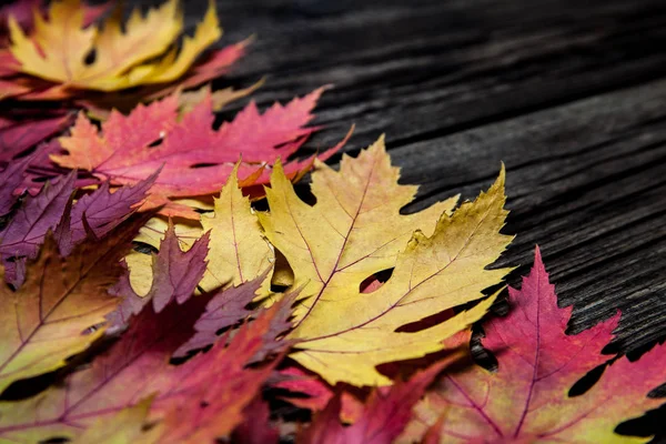 秋天的叶子，木制背景，有复印纸 — 图库照片