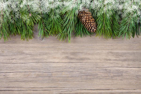 Tannenbaum auf einem hölzernen Hintergrund — Stockfoto