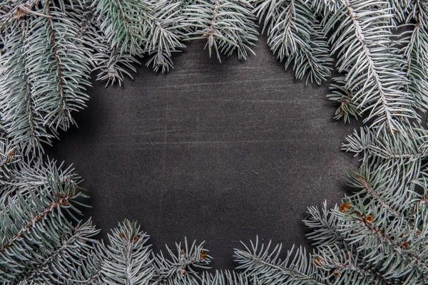 ブラック ボードの背景にクリスマスのモミの木 — ストック写真