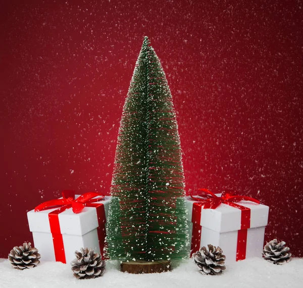 Cajas de regalo blancas y abeto sobre fondo rojo . — Foto de Stock