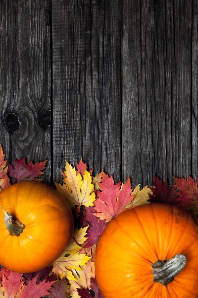Pumpa och hösten lämnar över gamla trä bakgrund med kopia utrymme — Stockfoto