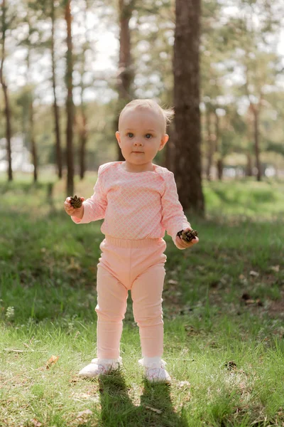 Baby Holds Two Cones Spruce Forest Green Grass Pink Suit — Stock Photo, Image