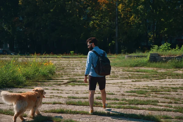 Hombre paseando a su perro en el parque —  Fotos de Stock