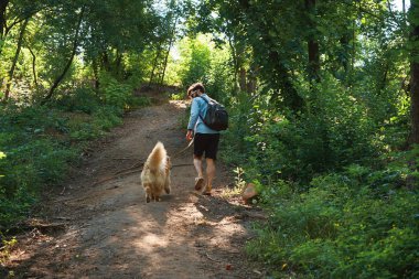 Adam uzun yürüyüşe çıkan kimse omurgasında bir sırt çantası ile gün güneşli yaz köpeğiyle ormandaki bir patika üzerinde yürürken. Arkadan görünüm.