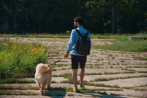 Современный Бородатый Мужчина Рюкзаком Выгуливает Собаку Парке — стоковое фото