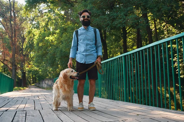 Rano Spacer Psem Młody Człowiek Jego Labrador Retriever Moście Drewna — Zdjęcie stockowe