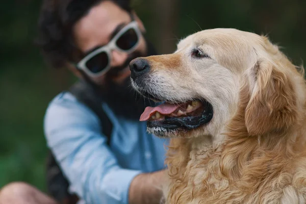 Arckép Fókusz Kutya Golden Retriever Közelről Képet Vágott Mosolygó Szakállas — Stock Fotó