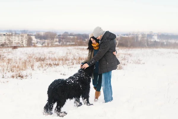 漂亮的男人和女人一边享受着雪 一边和他们的黑色大卷发狗走在一起 在冬天互相拥抱 把他们蓬松的朋友贴在一起 背景是城市和天空 — 图库照片