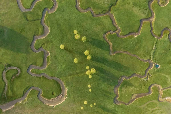 Vista aérea do prado extraordinário com muitos caminhos — Fotografia de Stock