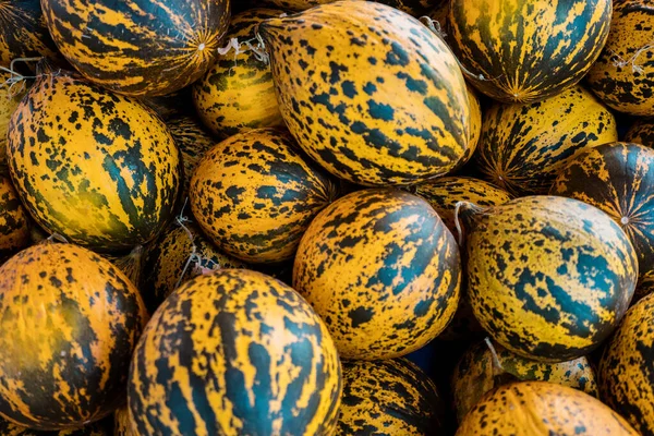 Žlutozelené melouny pozadí textury — Stock fotografie