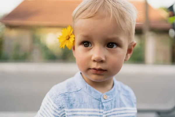 Portrét malý roztomilý chlapec — Stock fotografie