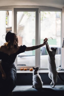 Siyam kedileriyle oynayan güzel kadın