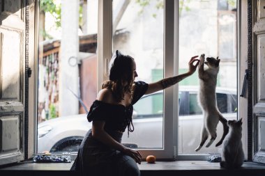 Siyam kedileriyle oynayan güzel kadın