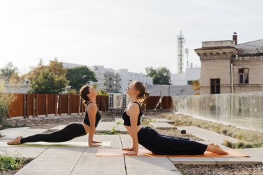 İki genç kız esneme hareketleri ve yoga egzersizleri yapıyor.
