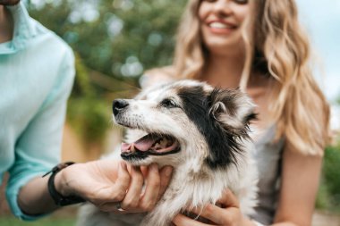 Çimlerin üzerinde köpeği olan güzel bir çift.