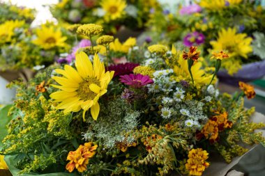 Yabani çiçek çiçeği arka planı.