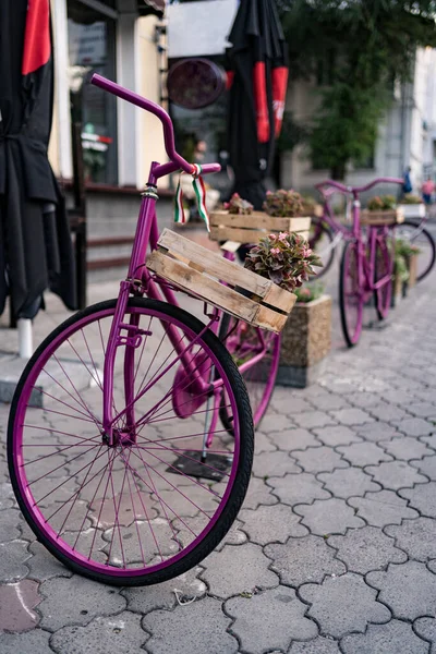 Vintage bicycle on brick background — Stock Photo, Image