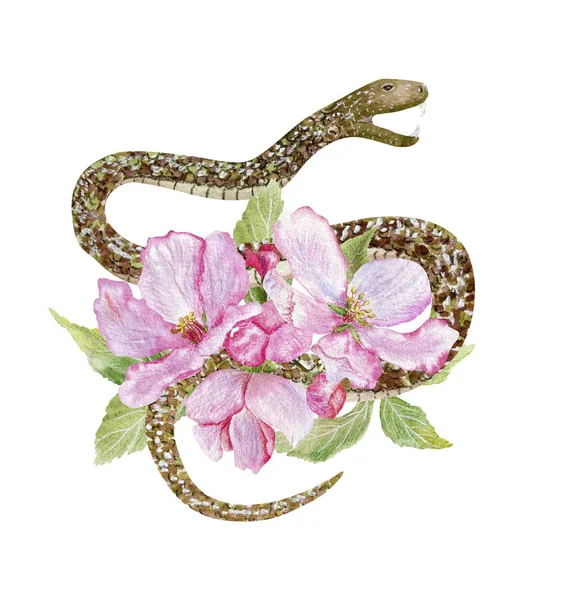 Blühender Apfel und Schlange — Stockfoto