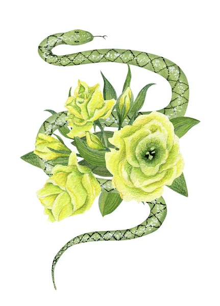 Eustoma ve beyaz yılan — Stok fotoğraf