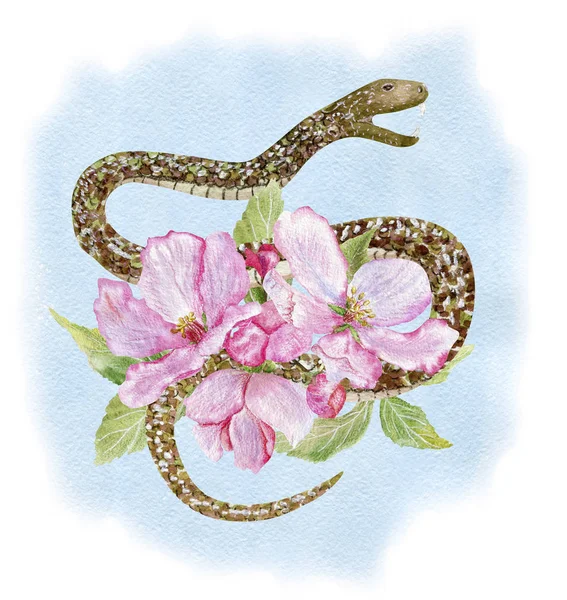 Sakura and snake on blue — Stock Photo, Image