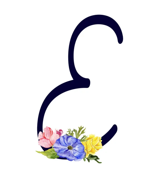 ABC floral verzameling E — Stockfoto