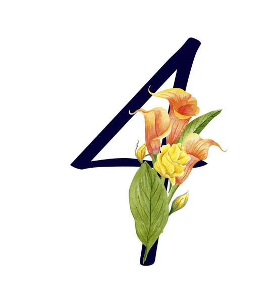 Ziffer florales Set 4 — Stockfoto