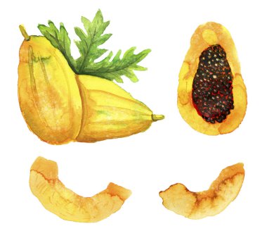 Elle çizilmiş Papaya ayarla