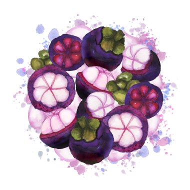 Round shaped mangosteen composition 