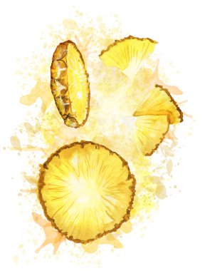 Suluboya ananas ile kompozisyon