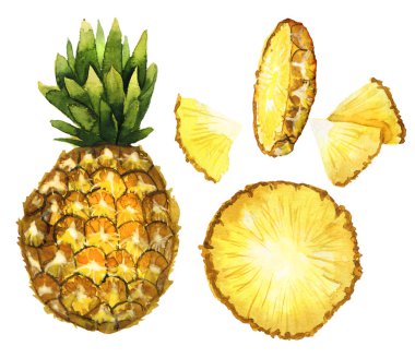 Elle çizilmiş ananas seti