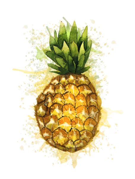 Kompozycja z całego ananasa — Zdjęcie stockowe