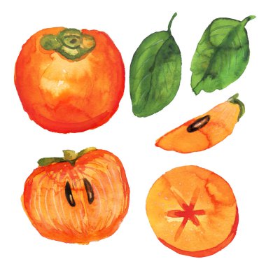 El çizimi hurma seti