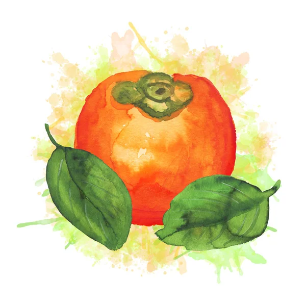 Samenstelling met aquarel persimmon — Stockfoto