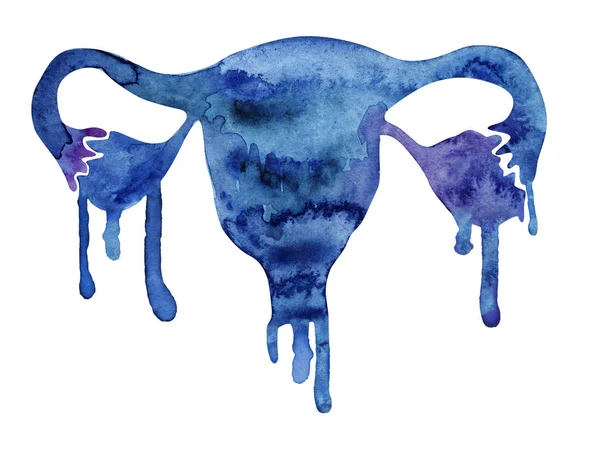 Female reproductive system with watercolor paint smudges — Stock Photo, Image