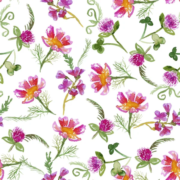 Seamless Pattern Pink Hand Drawn Wildflowers White Background Watercolor Illustration — Stock Photo, Image