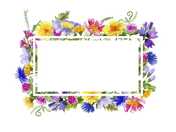 Frame with watercolor wild flowers on white — Stock Photo, Image