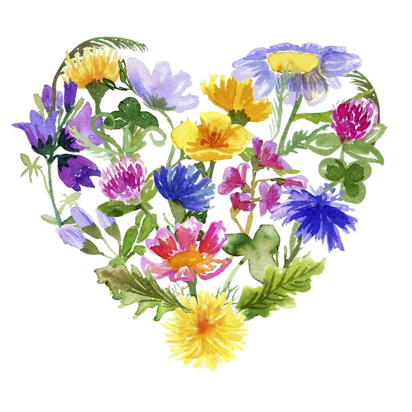 Heart shaped composition with wildflowers on white — Stock Photo, Image