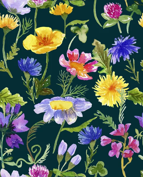 Pattern with wildflowers on dark green — Stock Photo, Image