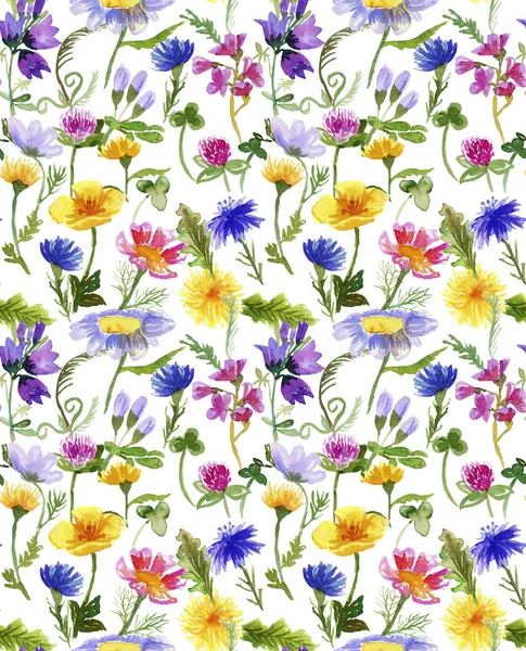 Pattern with wildflowers on white — Stock Photo, Image