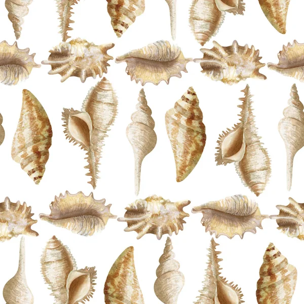 Watercolor seamless pattern with seashells on white background — Stock Photo, Image